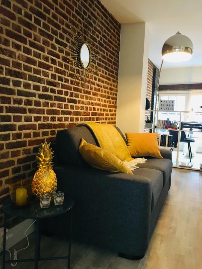 Appartement Heloise, Le Charme Du Vieux-リール エクステリア 写真